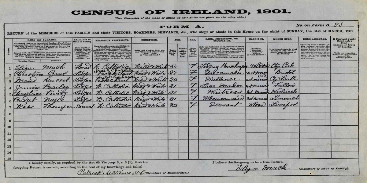 Using The 1901 Census Of Ireland For Irish Ancestry Research